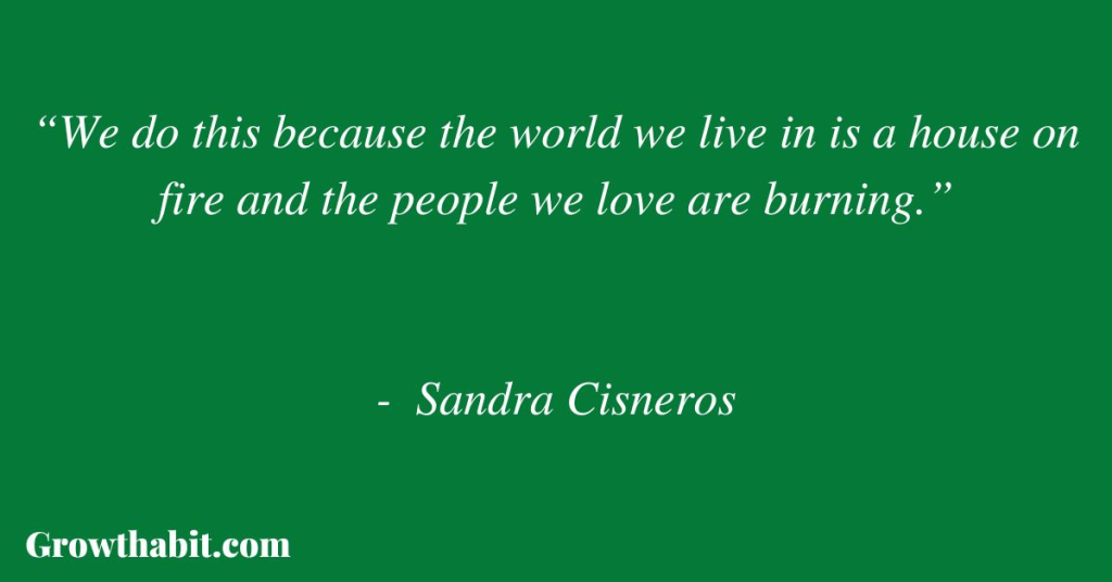 Sandra Cisneros Quote 2